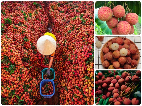 Thêm 9 món ăn đặc sản Việt vào kỷ lục châu Á - Ảnh 3. Thêm 9 món ăn đặc sản Việt vào kỷ lục châu Á - Ảnh 3.