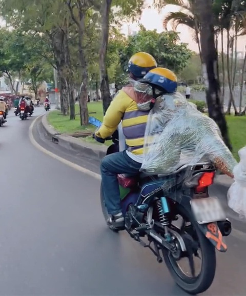 Ảnh vui 12-4: Khủng long đội mũ bảo hiểm khi tham gia giao thông - Ảnh 1. Ảnh vui 12-4: Khủng long đội mũ bảo hiểm khi tham gia giao thông - Ảnh 1.
