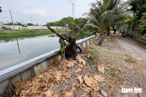 Dân không dám ngủ trong nhà vì sợ sạt lở, địa phương hứa sẽ sớm sửa chữa - Ảnh 6. Dân không dám ngủ trong nhà vì sợ sạt lở, địa phương hứa sẽ sớm sửa chữa - Ảnh 6.