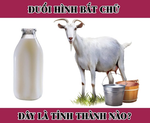 Đuổi hình bắt chữ: Đây là tỉnh thành nào của nước ta? (P4) - Ảnh 1. Đuổi hình bắt chữ: Đây là tỉnh thành nào của nước ta? (P4) - Ảnh 1.