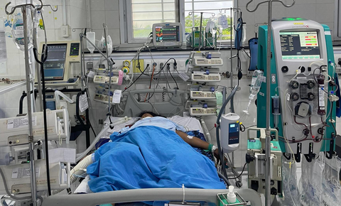 Lọc máu cứu bé 9 tuổi bị sốc sốt xuất huyết nặng - Ảnh 1. Lọc máu cứu bé 9 tuổi bị sốc sốt xuất huyết nặng - Ảnh 1.