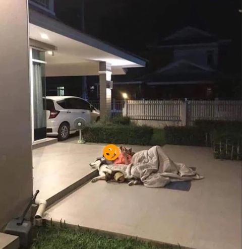 Cái kết bi hài của những anh chồng dám bật vợ - Ảnh 6. Cái kết bi hài của những anh chồng dám bật vợ - Ảnh 6.
