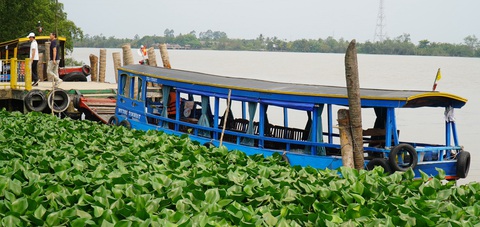 Đề xuất miễn lắp đặt hộp đen, chủ tàu du lịch nói đỡ quá! - Ảnh 1. Đề xuất miễn lắp đặt hộp đen, chủ tàu du lịch nói đỡ quá! - Ảnh 1.