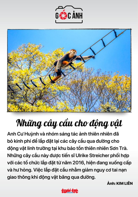 Tin tức sáng 15-4: Gia hạn nộp thuế, tiền thuê đất; COVID-19 vọt lên 780 ca - Ảnh 10. Tin tức sáng 15-4: Gia hạn nộp thuế, tiền thuê đất; COVID-19 vọt lên 780 ca - Ảnh 10.