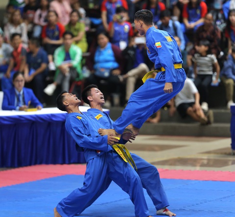 'Phát triển vovinam là gieo mầm văn hóa Việt' - Ảnh 6. Vovinam đã phát triển ở hơn 70 quốc gia và trên khắp các châu lục - Ảnh: NGUYÊN KHÔI