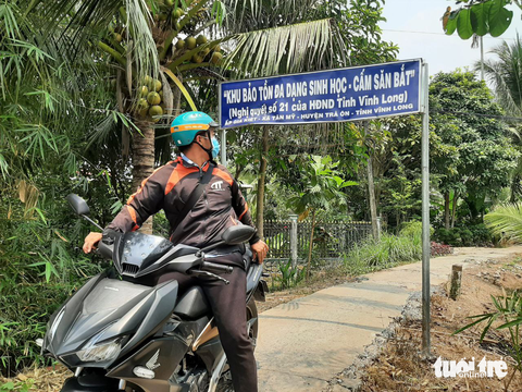 Kẻ gian vẫn ngày đêm tiêu diệt đàn cò nhạn quý hiếm - Ảnh 2. Kẻ gian vẫn ngày đêm tiêu diệt đàn cò nhạn quý hiếm - Ảnh 2.