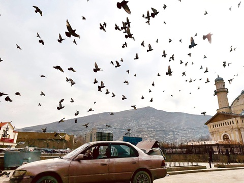 Đến Afghanistan thời Taliban - Kỳ 6: Bom nổ, máu loang, bồ câu vẫn bay - Ảnh 2. Bồ câu bay rợp trời ở nhà thờ Shah-Do Shamshira Jamia - Ảnh: T.NGHĨA