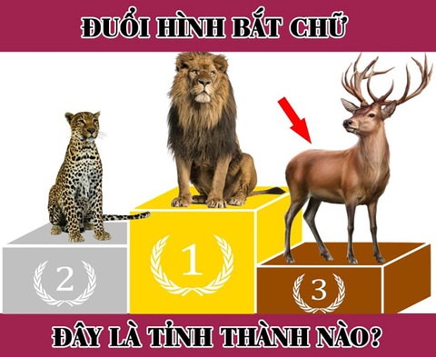 IQ cao mới biết được đây là tỉnh nào của Việt Nam? - Ảnh 1. IQ cao mới biết được đây là tỉnh nào của Việt Nam? - Ảnh 1.