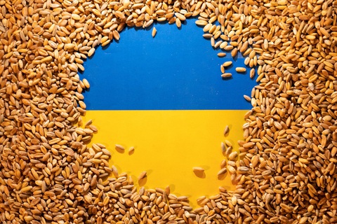 Ủy ban châu Âu phản đối Ba Lan, Hungary cấm ngũ cốc Ukraine - Ảnh 1. Ủy ban châu Âu phản đối Ba Lan, Hungary cấm ngũ cốc Ukraine - Ảnh 1.