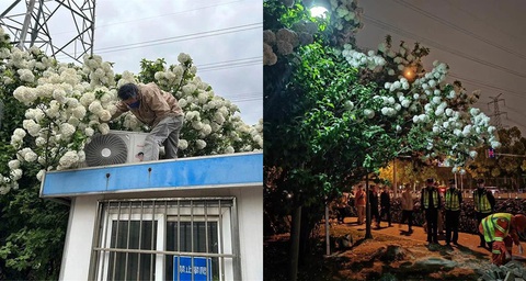 Leo lên nóc phòng bảo vệ để sống ảo - Ảnh 4. Leo lên nóc phòng bảo vệ để sống ảo - Ảnh 4.