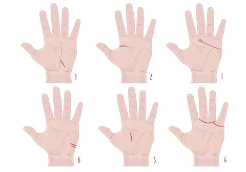 Đường chỉ tay tiết lộ vận may của bạn trong tình yêu - Ảnh 1. Đường chỉ tay tiết lộ vận may của bạn trong tình yêu - Ảnh 1.
