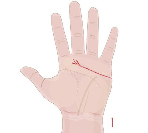 Đường chỉ tay tiết lộ vận may của bạn trong tình yêu - Ảnh 2. Đường chỉ tay tiết lộ vận may của bạn trong tình yêu - Ảnh 2.