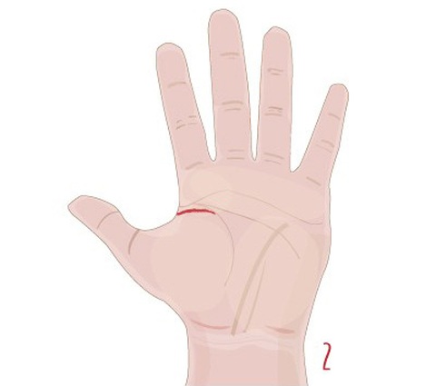 Đường chỉ tay tiết lộ vận may của bạn trong tình yêu - Ảnh 4. Đường chỉ tay tiết lộ vận may của bạn trong tình yêu - Ảnh 4.