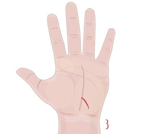 Đường chỉ tay tiết lộ vận may của bạn trong tình yêu - Ảnh 6. Đường chỉ tay tiết lộ vận may của bạn trong tình yêu - Ảnh 6.
