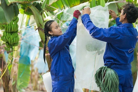 Những ‘đại gia’ đầu tư ra nước ngoài của Việt Nam là ai? - Ảnh 1. Những ‘đại gia’ đầu tư ra nước ngoài của Việt Nam là ai? - Ảnh 1.