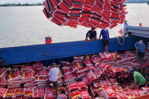 Công nhân cảng Mỹ Thới, TP Long Xuyên, An Giang đưa gạo lên tàu xuất khẩu - Ảnh: BỬU ĐẤU Công nhân cảng Mỹ Thới, TP Long Xuyên, An Giang đưa gạo lên tàu xuất khẩu - Ảnh: BỬU ĐẤU