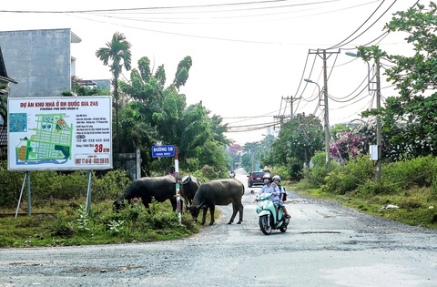 Dự án khu nhà ở cán bộ công nhân viên Đại học Bách khoa TP.HCM hiện đang xuống cấp nghiêm trọng - Ảnh: CHÂU TUẤN Dự án khu nhà ở cán bộ công nhân viên Đại học Bách khoa TP.HCM hiện đang xuống cấp nghiêm trọng - Ảnh: CHÂU TUẤN
