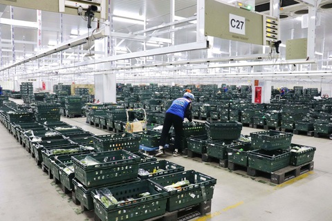 Đưa AI vào logistic, WinCommerce quyết thay đổi “cuộc chơi” - Ảnh 1. Hệ thống kho hiện đại Supra của Tập đoàn Masan.