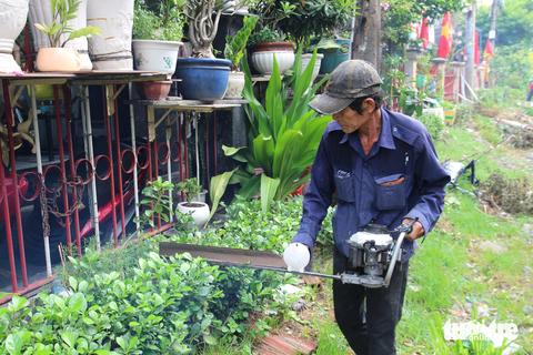 Quận Phú Nhuận hoàn thành đường hoa dọc tuyến đường sắt - Ảnh 5. Quận Phú Nhuận hoàn thành đường hoa dọc tuyến đường sắt - Ảnh 5.