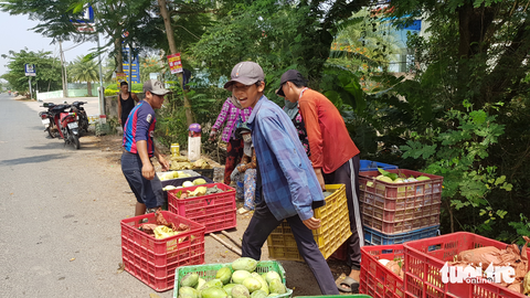 Ký xoài keo thua ly trà đá mà còn hổng có người mua - Ảnh 3. Ký xoài keo thua ly trà đá mà còn hổng có người mua - Ảnh 3.