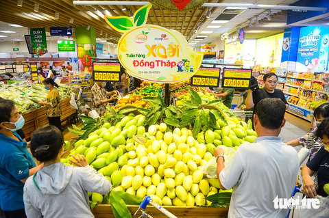 Siêu thị dự kiến có thể tiêu thụ hơn 200 tấn xoài Đồng Tháp - Ảnh 1. Siêu thị dự kiến có thể tiêu thụ hơn 200 tấn xoài Đồng Tháp - Ảnh 1.