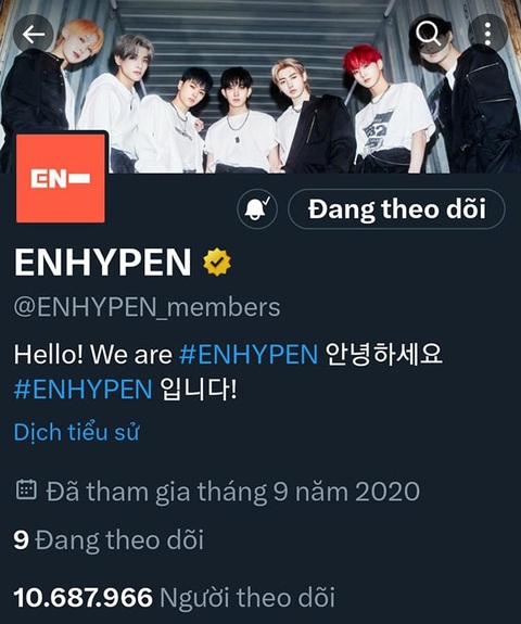 Blackpink, Lady Gaga... bị Twitter thổi bay vì quên trả phí - Ảnh 3. Blackpink, Lady Gaga... bị Twitter thổi bay vì quên trả phí - Ảnh 3.