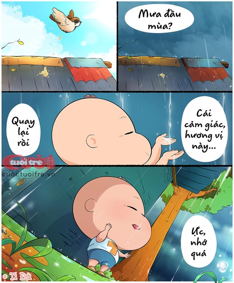 Mưa đầu mùa hạt nhỏ long lanh... và tinh khiết - Ảnh 1. Mưa đầu mùa hạt nhỏ long lanh... và tinh khiết - Ảnh 1.