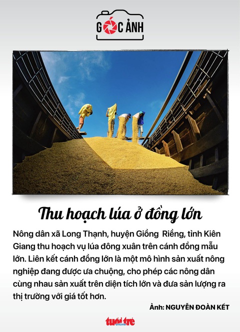 Tin tức sáng 24-4: 800 tỉ đồng xóa điểm đen giao thông; TP.HCM phát hiện nhiều biến thể COVID-19 - Ảnh 7. Tin tức sáng 24-4: 800 tỉ đồng xóa điểm đen giao thông; TP.HCM phát hiện nhiều biến thể COVID-19 - Ảnh 7.