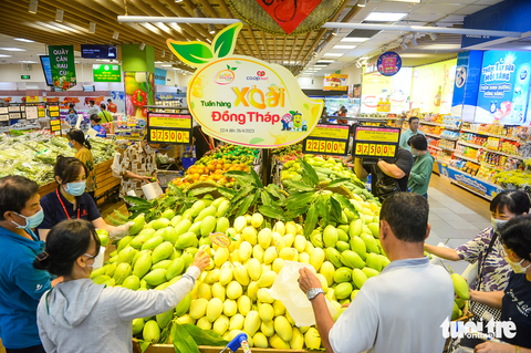 Vào siêu thị, mua xoài ngon giá giảm sốc - Ảnh 1. Xoài Đồng Tháp tại hệ thống Co.opmart đang có giá bán cực tốt, thu hút lượng lớn khách hàng - Ảnh: QUANG ĐỊNH