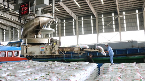 Tin tức sáng 26-4: 1/3 ca COVID-19 nhập viện ở TP.HCM chưa tiêm đủ mũi; Thí sinh tập đăng ký thi - Ảnh 1. Tin tức sáng 26-4: 1/3 ca COVID-19 nhập viện ở TP.HCM chưa tiêm đủ mũi; Thí sinh tập đăng ký thi - Ảnh 1.