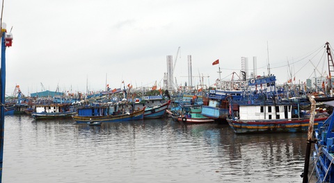 Bắt tạm giam cựu giám đốc Sở Nông nghiệp và Phát triển nông thôn Bà Rịa - Vũng Tàu - Ảnh 2. Bắt tạm giam cựu giám đốc Sở Nông nghiệp và Phát triển nông thôn Bà Rịa - Vũng Tàu - Ảnh 2.