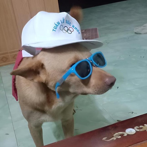 Ảnh vui 28-4: Máy điều hòa tự chế - Ảnh 4. Ảnh vui 28-4: Máy điều hòa tự chế - Ảnh 4.
