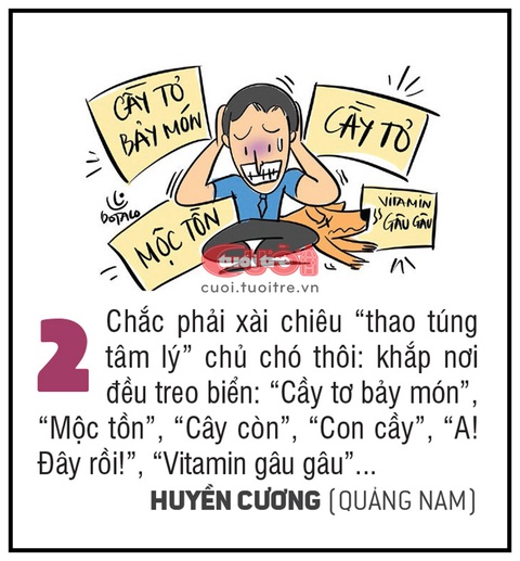10 biện pháp kịch độc đối phó chó thả rông - Ảnh 2. 10 biện pháp kịch độc đối phó chó thả rông - Ảnh 2.