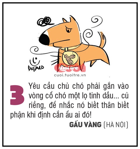 10 biện pháp kịch độc đối phó chó thả rông - Ảnh 3. 10 biện pháp kịch độc đối phó chó thả rông - Ảnh 3.