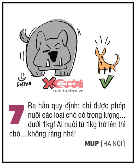 10 biện pháp kịch độc đối phó chó thả rông - Ảnh 7. 10 biện pháp kịch độc đối phó chó thả rông - Ảnh 7.