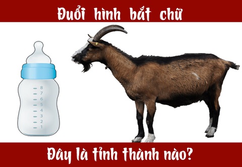 Đuổi hình bắt chữ: Đây là tỉnh thành nào của nước ta (P13) - Ảnh 1. Đuổi hình bắt chữ: Đây là tỉnh thành nào của nước ta (P13) - Ảnh 1.