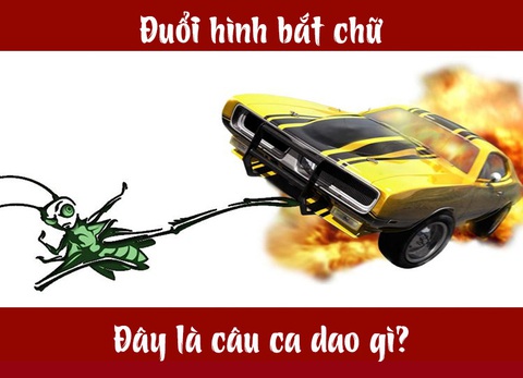 Câu tục ngữ, thành ngữ khó nhằn này là gì? (P5) - Ảnh 7. Câu tục ngữ, thành ngữ khó nhằn này là gì? (P5) - Ảnh 7.