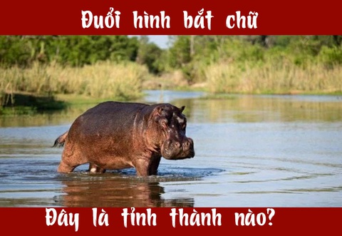 Đuổi hình bắt chữ: Đây là tỉnh thành nào của nước ta (P12) - Ảnh 4. Đuổi hình bắt chữ: Đây là tỉnh thành nào của nước ta (P12) - Ảnh 4.