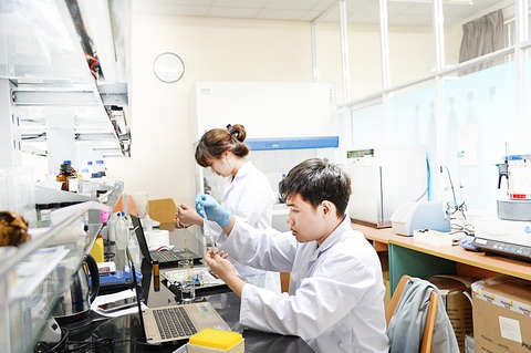 Tạo đất dụng võ cho người giỏi - Ảnh 4. Sinh viên Trường đại học Quốc tế - Đại học Quốc gia TP.HCM nghiên cứu kỹ thuật dược - Ảnh: TỰ TRUNG