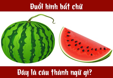 Câu tục ngữ, thành ngữ khó nhằn này là gì? (P5) - Ảnh 1. Câu tục ngữ, thành ngữ khó nhằn này là gì? (P5) - Ảnh 1.
