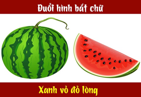Câu tục ngữ, thành ngữ khó nhằn này là gì? (P5) - Ảnh 3. Câu tục ngữ, thành ngữ khó nhằn này là gì? (P5) - Ảnh 3.