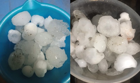 Mưa đá to như quả trứng gà ở Lào Cai, nhiều nhà dân bị thủng mái- Ảnh 1. Những viên đá to được người dân ở Mương Khương nhặt lại sau cơn mưa đá - Ảnh: Mường Khương