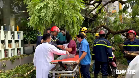 Cây xanh Trường THCS Trần Văn Ơn bật gốc, 1 học sinh và 5 người lớn bị thương - Ảnh 5. Cây xanh Trường THCS Trần Văn Ơn bật gốc, 1 học sinh và 5 người lớn bị thương - Ảnh 5.