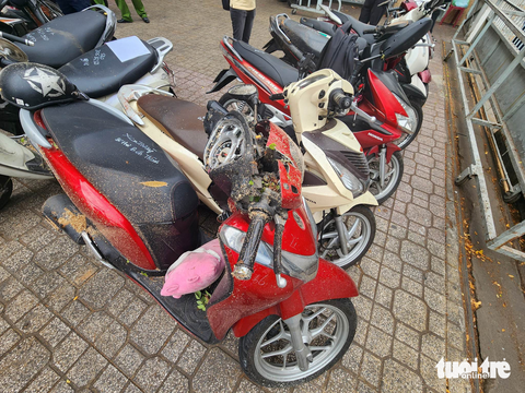 Cây xanh Trường THCS Trần Văn Ơn bật gốc, 1 học sinh và 5 người lớn bị thương - Ảnh 6. Cây xanh Trường THCS Trần Văn Ơn bật gốc, 1 học sinh và 5 người lớn bị thương - Ảnh 6.