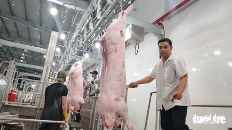 Vừa khai trương, doanh nghiệp giết mổ công nghiệp lại lo đóng cửa - Ảnh 1. Vừa khai trương, doanh nghiệp giết mổ công nghiệp lại lo đóng cửa - Ảnh 1.