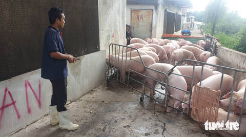 Tin tức sáng 4-4: Người quản lý xe buýt phải đi buýt 2 lần/tuần; 400 doanh nghiệp triển lãm cà phê - Ảnh 3. Tin tức sáng 4-4: Người quản lý xe buýt phải đi buýt 2 lần/tuần; 400 doanh nghiệp triển lãm cà phê - Ảnh 3.