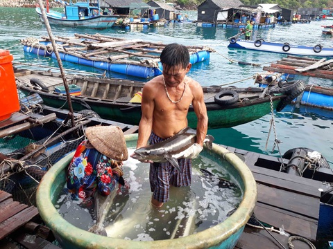Phát triển nguồn nước sông Mekong, Việt Nam mong muốn các giải pháp cụ thể - Ảnh 1. Phát triển nguồn nước sông Mekong, Việt Nam mong muốn các giải pháp cụ thể - Ảnh 1.