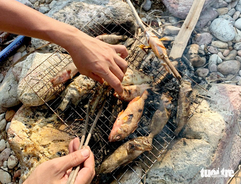 Trải nghiệm lặn bắt ốc, nhum, giăng lưới ở biển đảo Kiên Giang - Ảnh 4. Trải nghiệm lặn bắt ốc, nhum, giăng lưới ở biển đảo Kiên Giang - Ảnh 4.
