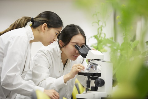 Mỗi học sinh tham gia NCUK – IFY sẽ được xây dựng lộ trình học tập riêng, với sự tư vấn 1-1 để lựa chọn tổ hợp các môn học phù hợp với định hướng cá nhân - Ảnh: Đ.H. Mỗi học sinh tham gia NCUK - IFY sẽ được xây dựng lộ trình học tập riêng, với sự tư vấn 1-1 để lựa chọn tổ hợp các môn học phù hợp với định hướng cá nhân - Ảnh: Đ.H.