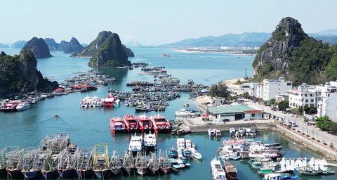 Chủ tàu du lịch lo lắng khi cảng Cái Rồng giới hạn hoạt động - Ảnh 3. Chủ tàu du lịch lo lắng khi cảng Cái Rồng giới hạn hoạt động - Ảnh 3.